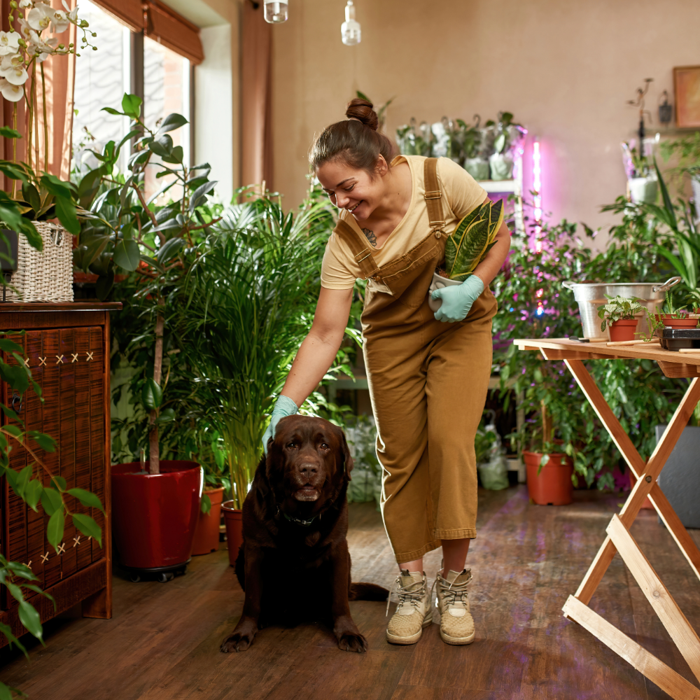 A Guide to Dog-Friendly Plants